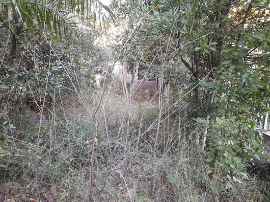 Photo d'un chantier avant réalisation des travaux d'entretien par AK Jardin